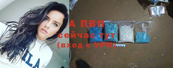 стафф Арсеньев