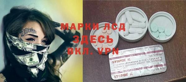 стафф Арсеньев