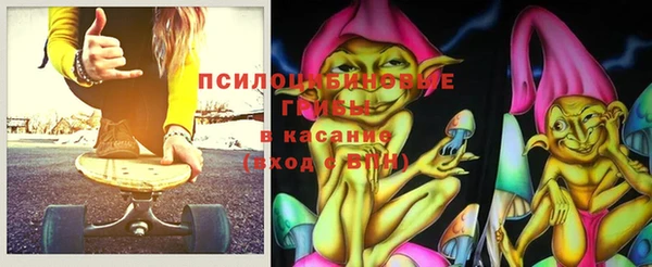 стафф Арсеньев