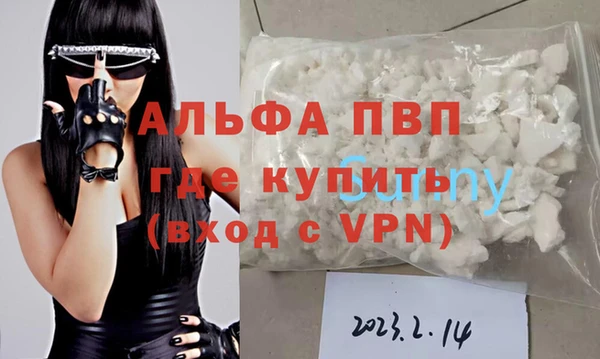 стафф Арсеньев