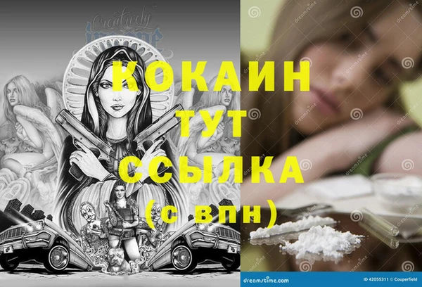 дмт Армянск